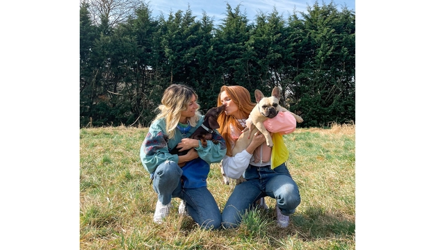 Imagen de portada del proyecto DOG PARADISE