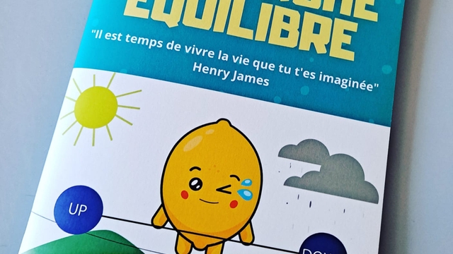 Cover image of the project Bipolaire (mais pas que) recherche EQUILIBRE
