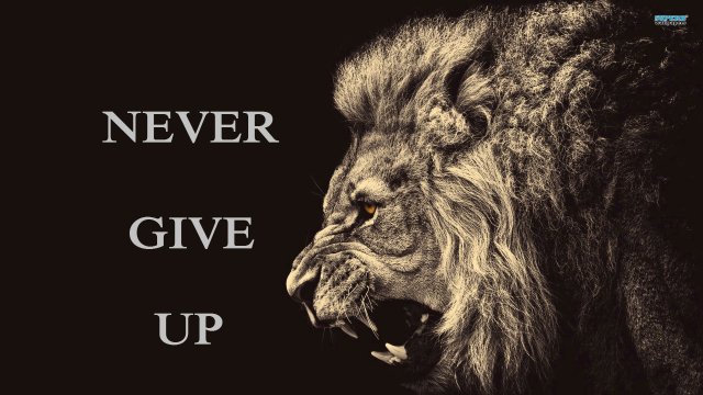 Image de couverture de la collecte Never Give Up