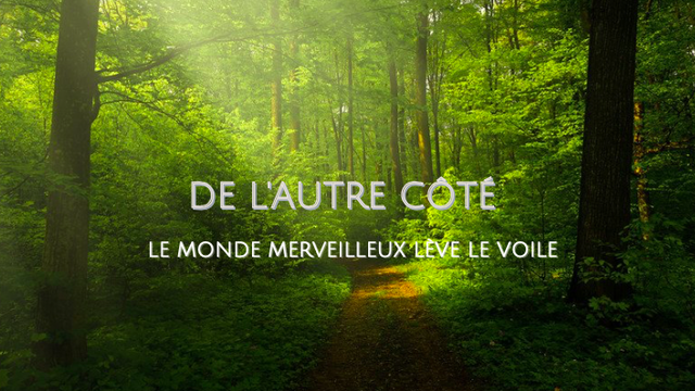 Vidéo de présentation de la collecte