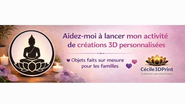 Lancement de mon activité de créations 3D - Ulule