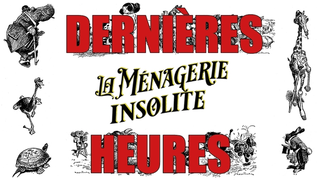 Cover image of the project La Ménagerie Insolite de TS Sullivant