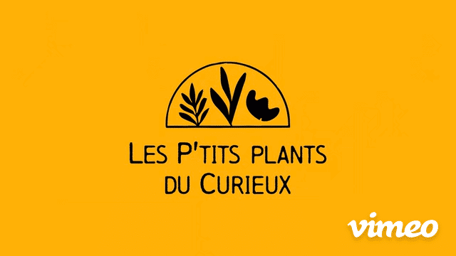 Video presentation of the project