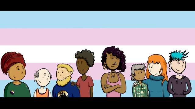 Cover image of the project Des féministes dans quel genre ?