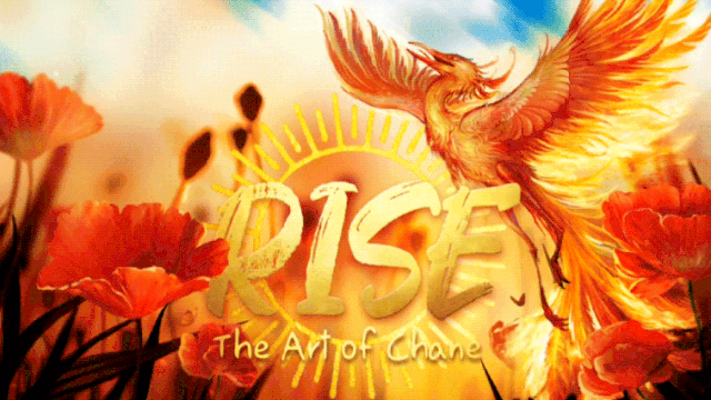 Cover image of the project Rise