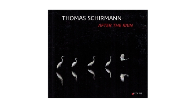 Cover image of the project Thomas Schirmann - After The Rain en vinyle
