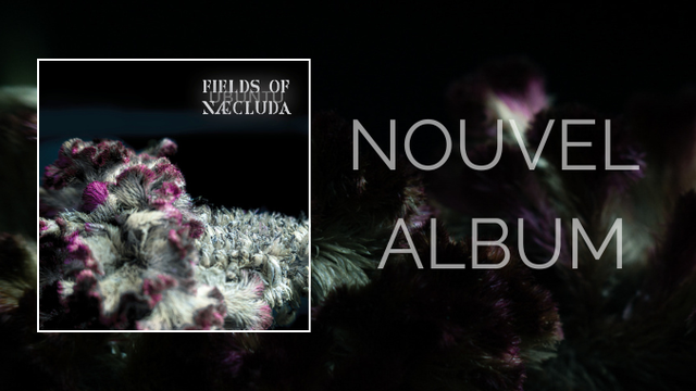 Cover image of the project Deuxième album de Fields of Naecluda : UBUNTU