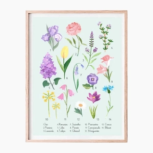Affiche des fleurs du printemps - sans cadre