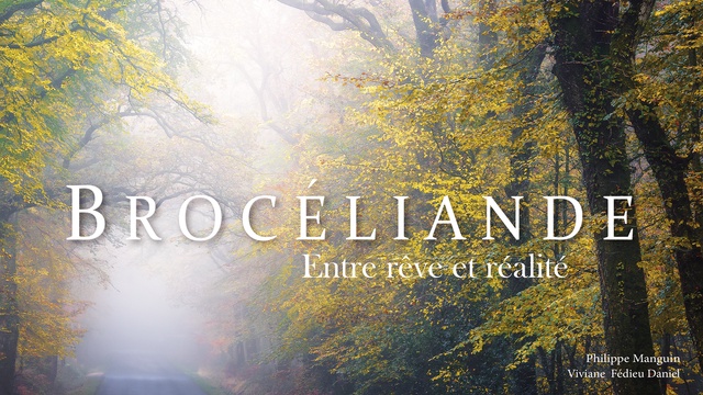 Cover image of the project Livre " BROCELIANDE "