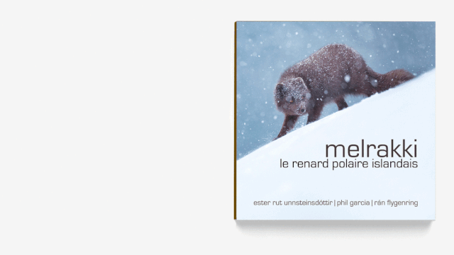 Cover image of the project Melrakki, le renard polaire Islandais (V2.0)