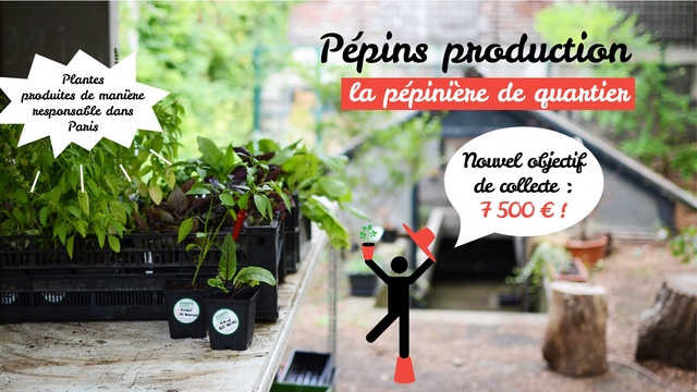 Cover image of the project Pépins production