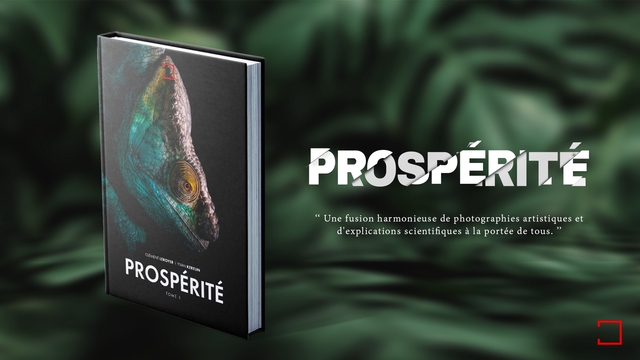 Cover image of the project Le livre PROSPÉRITÉ