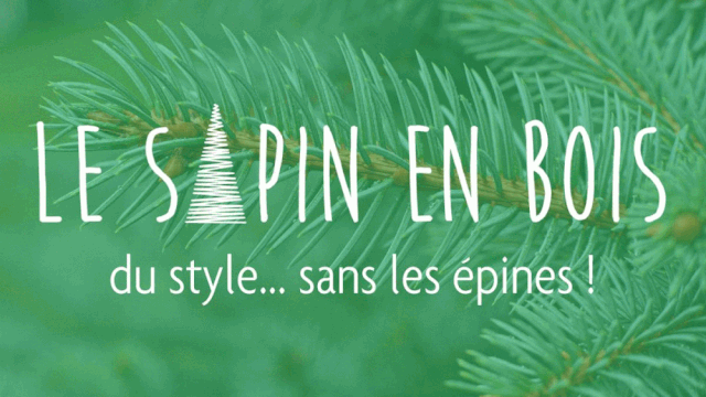 Imagen de portada del proyecto Le Sapin en Bois