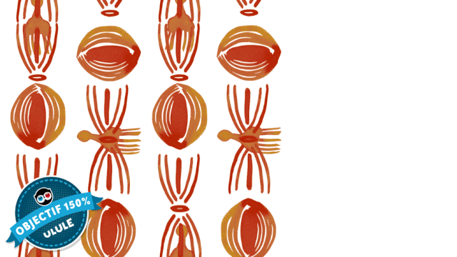 Cover image of the project Les Prouesses