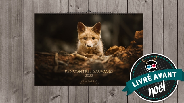 Cover image of the project CALENDRIER 2022 - Rencontres sauvages -