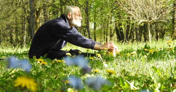 Master psychologie derniers semestres