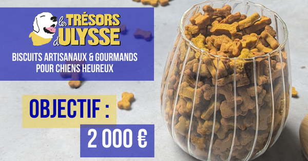 Les Trésors d #39 Ulysse biscuits de wouf Les Trésors d #39 Ulysse biscuits de wouf