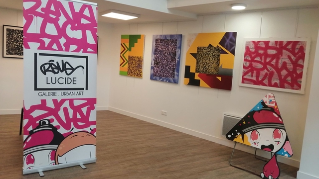 Cover image of the project Rêve Lucide, première galerie de Street art à Amiens