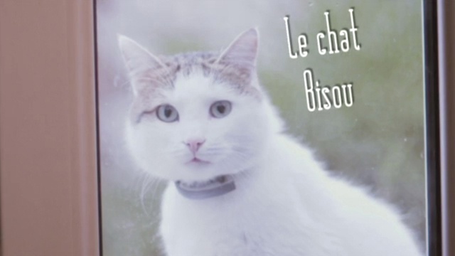 Vidéo de présentation de la collecte