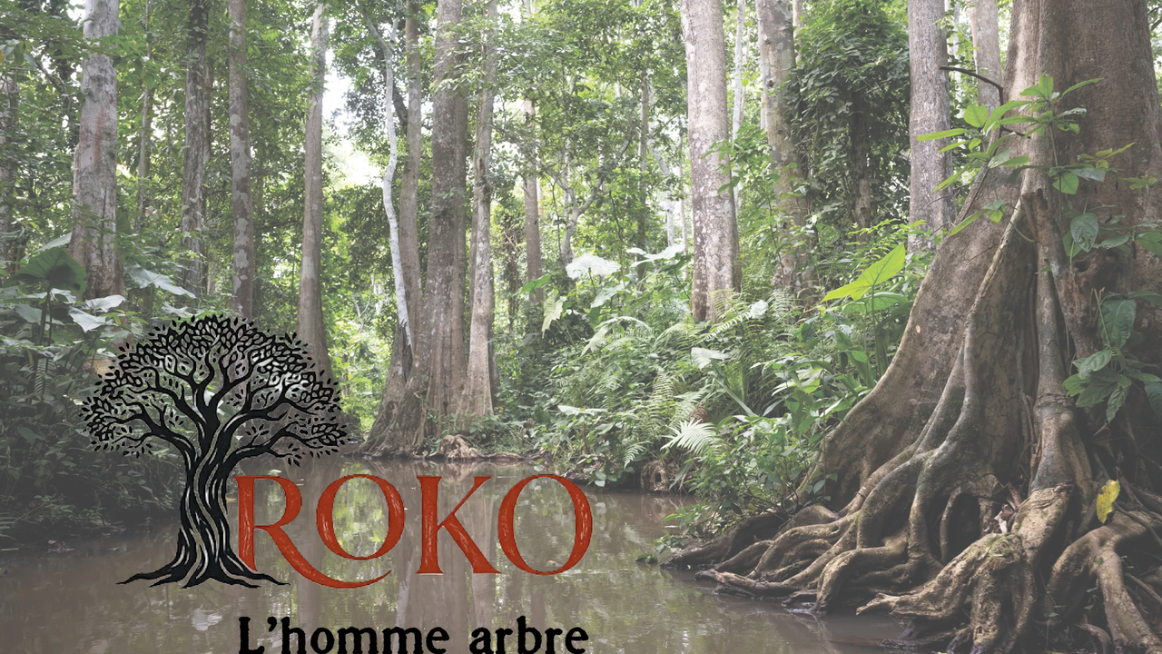 Iroko, l'homme arbre - Ulule