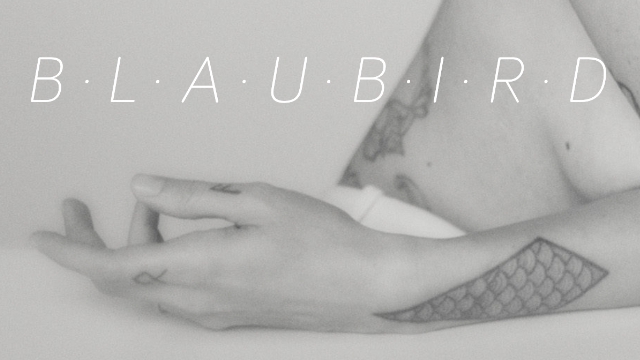 Image de couverture de la collecte Second album de BLAUBIRD