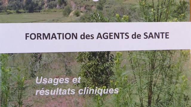 Video presentation of the project