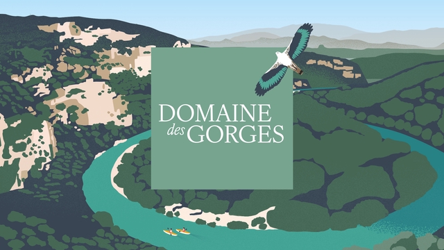 Cover image of the project PARTICIPEZ AU DÉVELOPPEMENT D’UNE OLIVERAIE AU 💚 DES GORGES
