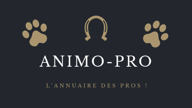 Cover image of the project Animopro - L'annuaire des professionnels animalier
