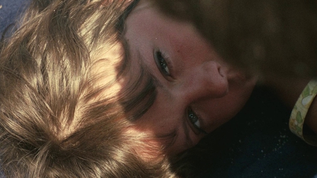 Image de couverture de la collecte L'Amour la nuit - le film