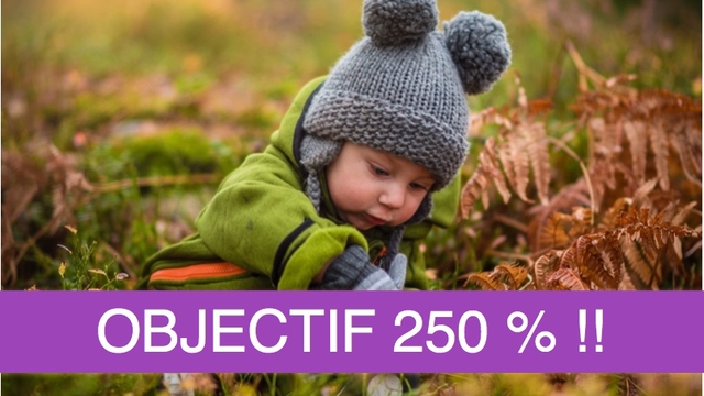 Cover image of the project Les Petits Forestiers