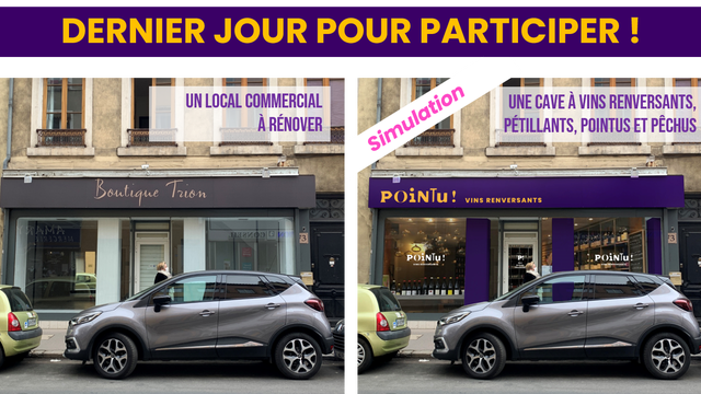 Cave à VINS RENVERSANTS à Lyon Ulule — free download
