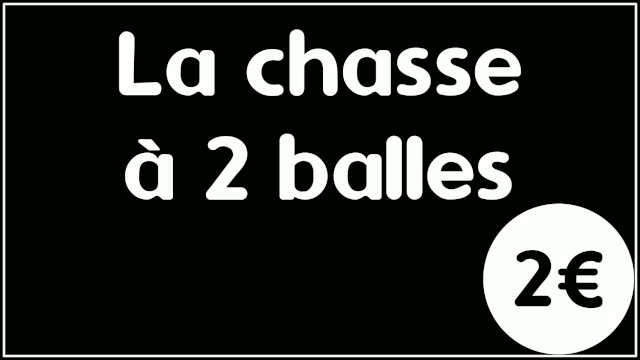 Cover image of the project La chasse à 2 balles