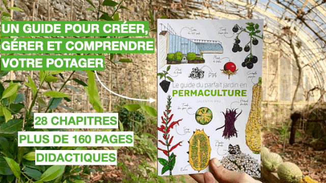 Image de couverture de la collecte Le guide du parfait jardin en permaculture