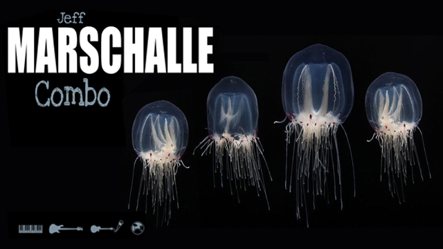 Cover image of the project 3ème ALBUM J. MARSCHALLE