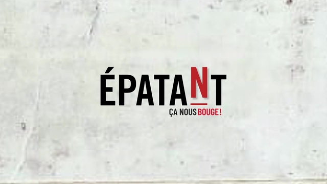 Video presentation of the project