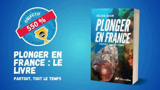 Image de couverture de la collecte Plonger En France