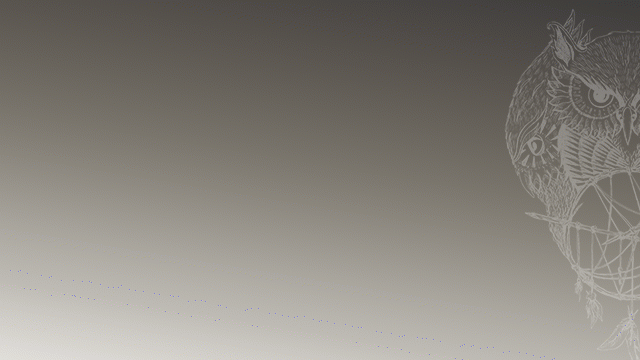 Image de couverture de la collecte Les Hiboux