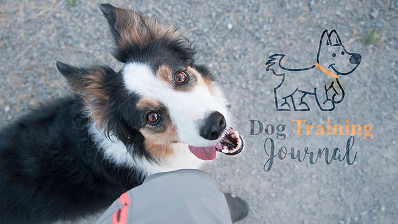 Dog Training Journal