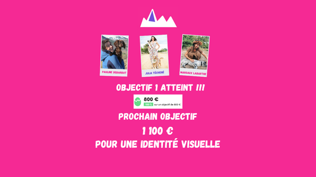 Cover image of the project Madame a du chien