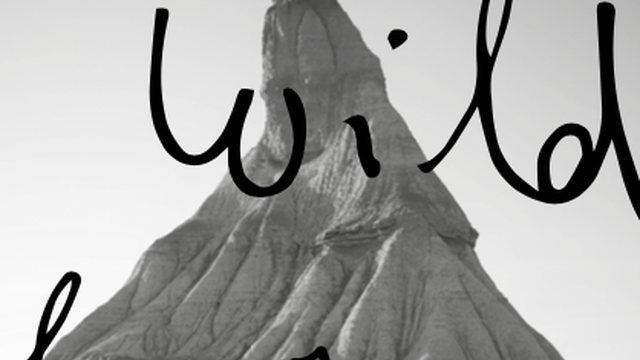 Cover image of the project Grand Wild #3: Les rêves américains
