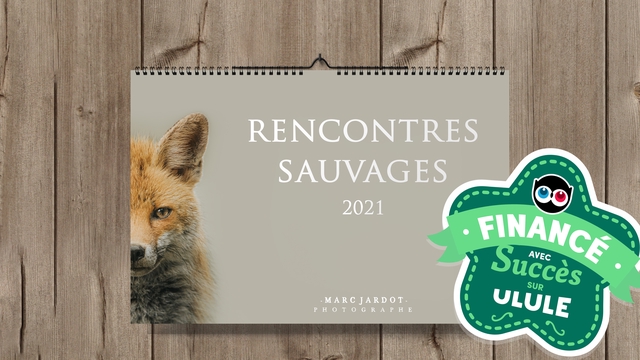 Image de couverture de la collecte CALENDRIER 2021