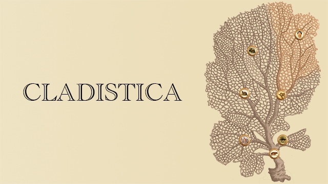 Cover image of the project Cladistica