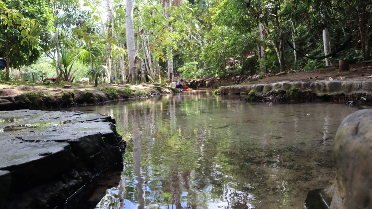 REFORESTACION Y RECUPERACION DE FUENTES NATURALES DE AGUA