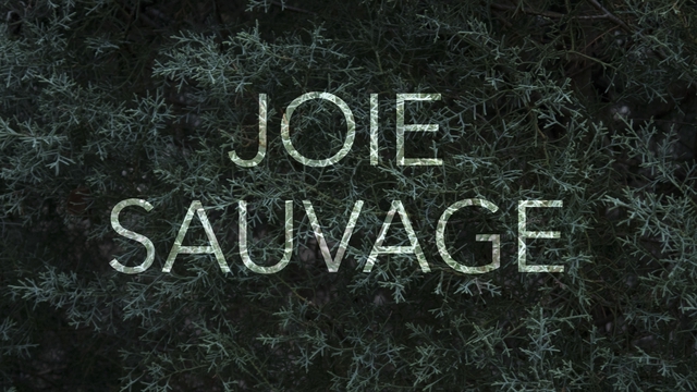 Image de couverture de la collecte Nicolas Fraissinet - "JOIE SAUVAGE"