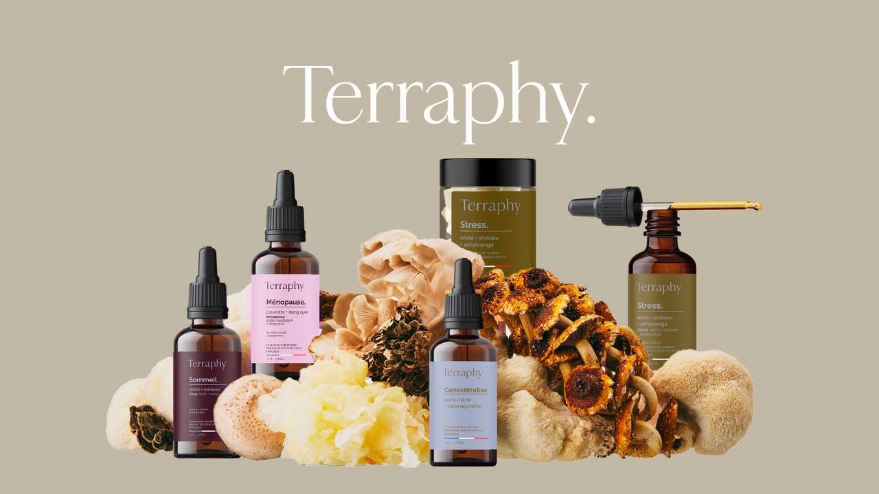 Terraphy, votre révolution bien-être à base de champignons - Ulule