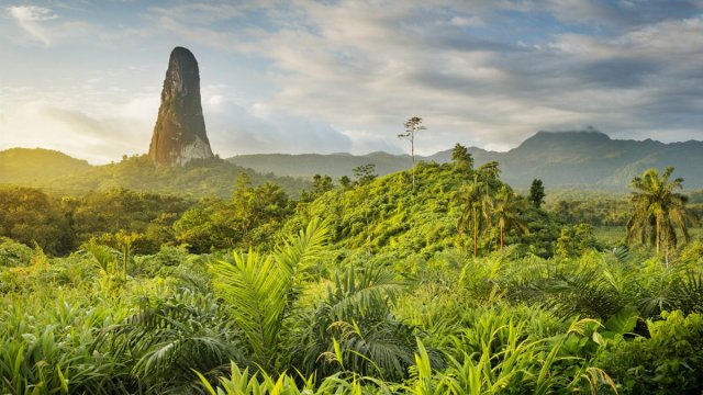 Image de couverture de la collecte São Tomé-et-Príncipe « archipel de biodiversité »