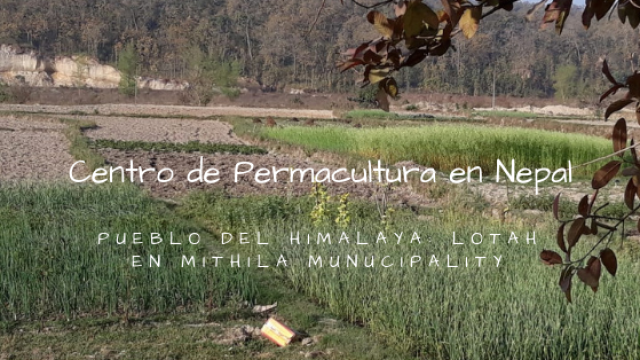 Video de presentación de tu proyecto