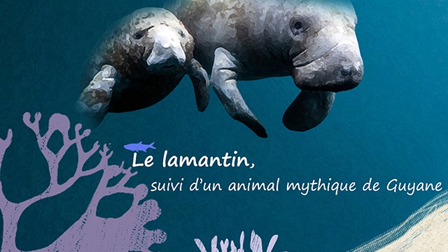 Cover image of the project Le lamantin, suivi d'un animal mythique de Guyane
