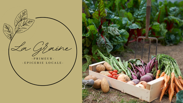 Cover image of the project La Graine épicerie locale