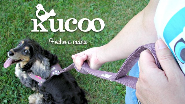Image de couverture de la collecte Correa para perros Kucoo
